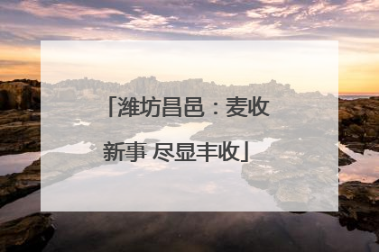 潍坊昌邑：麦收新事 尽显丰收