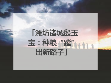 潍坊诸城殷玉宝：种粮“蹚”出新路子
