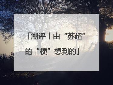 潮评丨由“苏超”的“梗”想到的