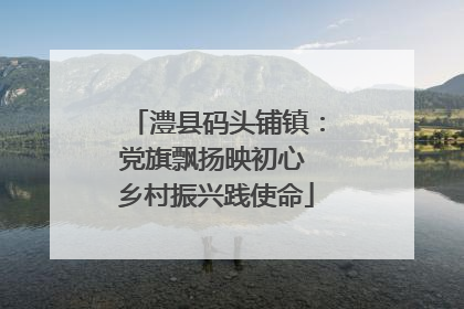 澧县码头铺镇：党旗飘扬映初心 乡村振兴践使命