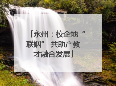 永州：校企地“联姻” 共助产教才融合发展