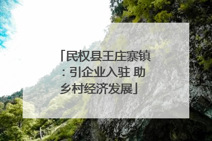 民权县王庄寨镇：引企业入驻 助乡村经济发展