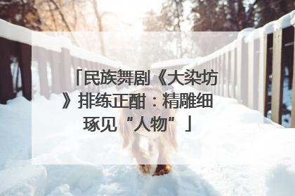 民族舞剧《大染坊》排练正酣：精雕细琢见“人物”