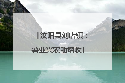 汝阳县刘店镇：薯业兴农助增收