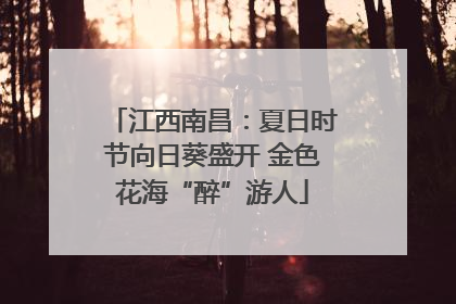 江西南昌：夏日时节向日葵盛开 金色花海“醉”游人