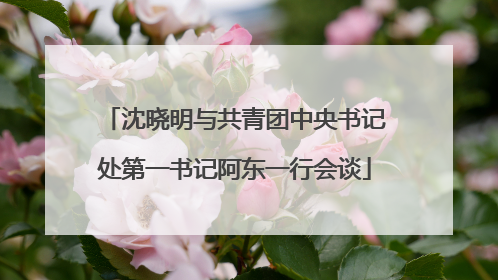 沈晓明与共青团中央书记处第一书记阿东一行会谈