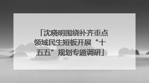 沈晓明围绕补齐重点领域民生短板开展“十五五”规划专题调研
