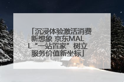 沉浸体验激活消费新想象 京东MALL“一站置家”树立服务价值新坐标