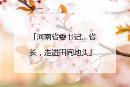 河南省委书记、省长，走进田间地头