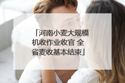 河南小麦大规模机收作业收官 全省麦收基本结束