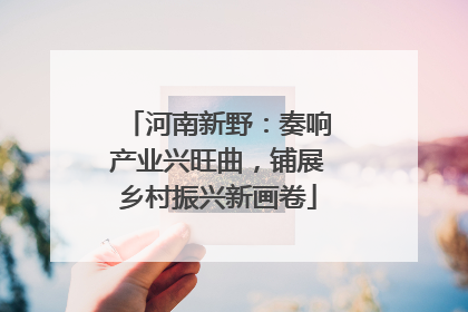 河南新野：奏响产业兴旺曲，铺展乡村振兴新画卷