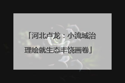 河北卢龙：小流域治理绘就生态丰饶画卷