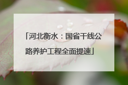 河北衡水：国省干线公路养护工程全面提速