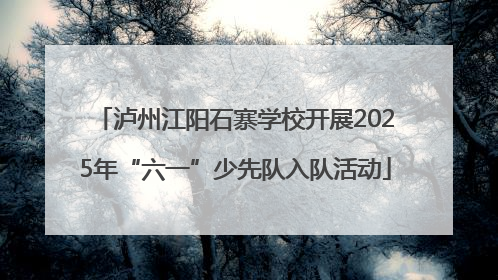 泸州江阳石寨学校开展2025年“六一”少先队入队活动