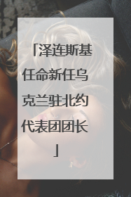 泽连斯基任命新任乌克兰驻北约代表团团长