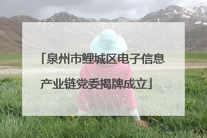 泉州市鲤城区电子信息产业链党委揭牌成立