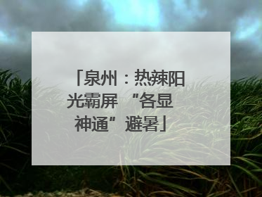 泉州：热辣阳光霸屏 “各显神通”避暑
