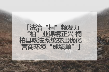 法治“桐”频发力 “柏”业锦绣正兴 桐柏县政法系统交出优化营商环境“成绩单”