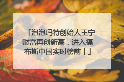 泡泡玛特创始人王宁财富再创新高，进入福布斯中国实时榜前十