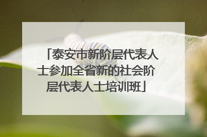 泰安市新阶层代表人士参加全省新的社会阶层代表人士培训班