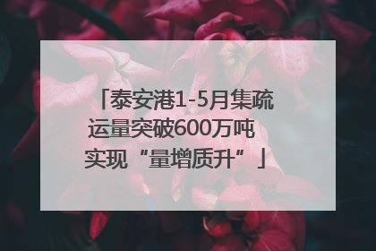 泰安港1-5月集疏运量突破600万吨 实现“量增质升”