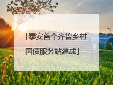 泰安首个齐鲁乡村国债服务站建成