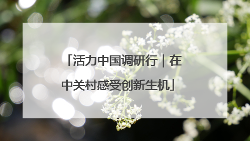 活力中国调研行｜在中关村感受创新生机