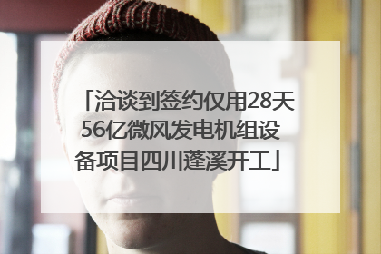 洽谈到签约仅用28天 56亿微风发电机组设备项目四川蓬溪开工