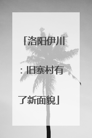 洛阳伊川：旧寨村有了新面貌