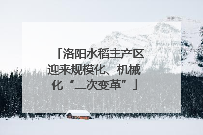 洛阳水稻主产区迎来规模化、机械化“二次变革”