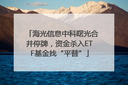 海光信息中科曙光合并停牌，资金杀入ETF基金找“平替”
