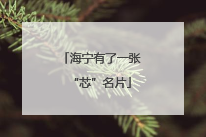 海宁有了一张“芯”名片