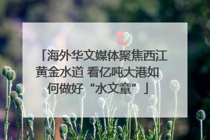 海外华文媒体聚焦西江黄金水道 看亿吨大港如何做好“水文章”