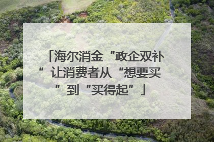 海尔消金“政企双补”让消费者从“想要买”到“买得起”