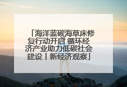 海洋蓝碳海草床修复行动开启 循环经济产业助力低碳社会建设丨新经济观察