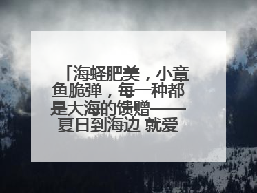 海蛏肥美，小章鱼脆弹，每一种都是大海的馈赠——夏日到海边 就爱那口鲜