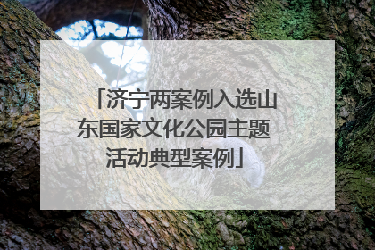 济宁两案例入选山东国家文化公园主题活动典型案例