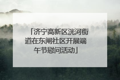 济宁高新区洸河街道在东闸社区开展端午节慰问活动