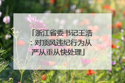 浙江省委书记王浩：对顶风违纪行为从严从重从快处理
