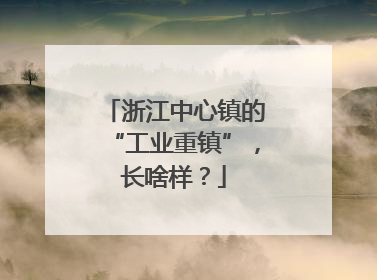 浙江中心镇的“工业重镇”，长啥样？