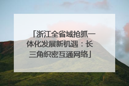 浙江全省域抢抓一体化发展新机遇：长三角织密互通网络