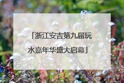 浙江安吉第九届玩水嘉年华盛大启幕