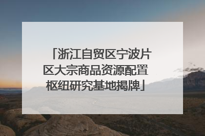 浙江自贸区宁波片区大宗商品资源配置枢纽研究基地揭牌