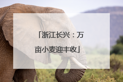 浙江长兴：万亩小麦迎丰收