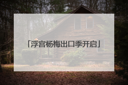 浮宫杨梅出口季开启