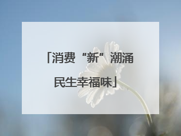 消费“新”潮涌 民生幸福味