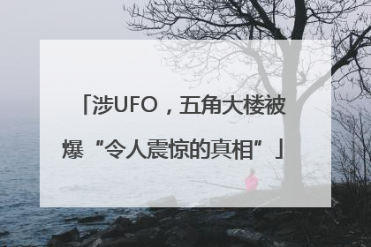 涉UFO，五角大楼被爆“令人震惊的真相”