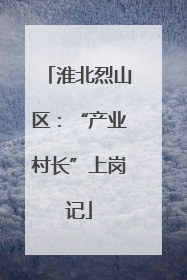 淮北烈山区：“产业村长”上岗记