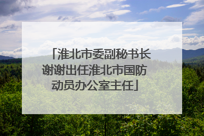 淮北市委副秘书长谢谢出任淮北市国防动员办公室主任