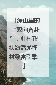 深山里的“双向奔赴”：驻村帮扶激活茅坪村致富引擎